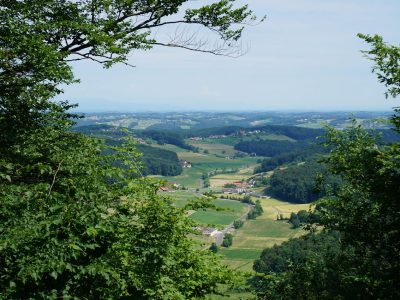 Aussicht Burg Kapfenstein